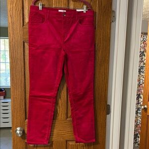 LOFT Hot Pink Velvet Like Trousers